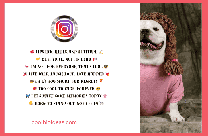 Savage Funny Instagram Bios