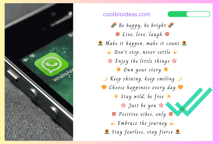 Stylish Bio For Whatsapp